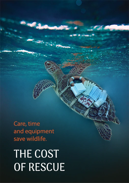 The Cost of Rescue media post